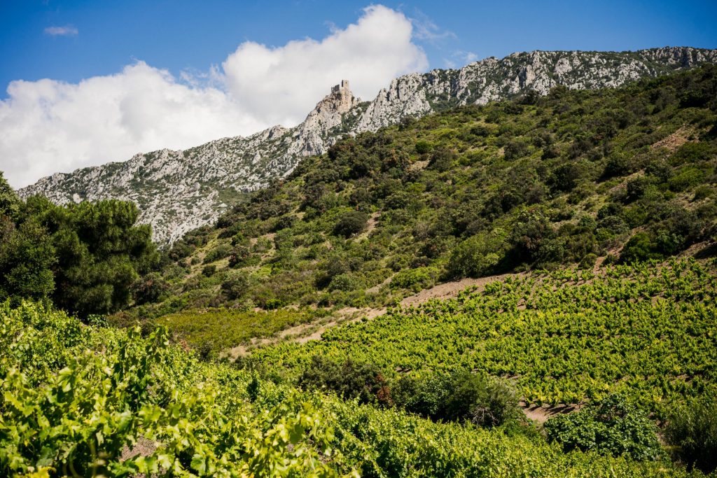 domaine viticole Perpignan